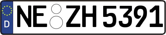 NE-ZH5391