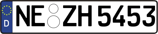 NE-ZH5453
