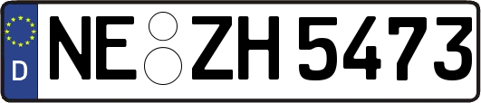 NE-ZH5473