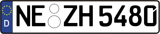 NE-ZH5480