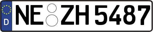 NE-ZH5487