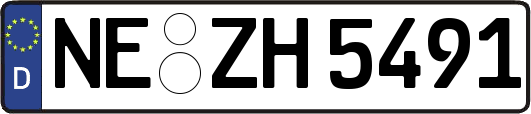 NE-ZH5491