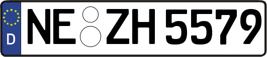 NE-ZH5579