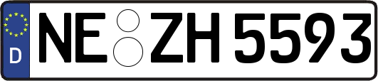 NE-ZH5593