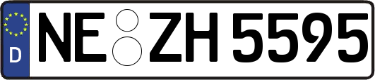 NE-ZH5595