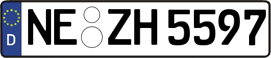 NE-ZH5597