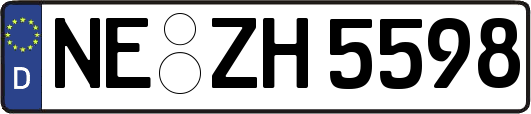 NE-ZH5598