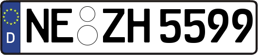 NE-ZH5599