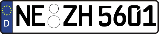 NE-ZH5601