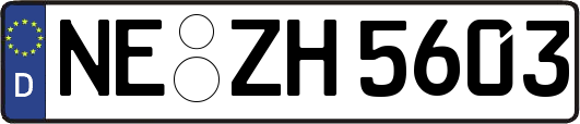 NE-ZH5603