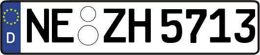 NE-ZH5713