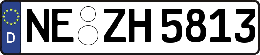 NE-ZH5813