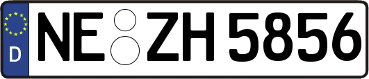 NE-ZH5856