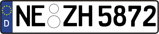 NE-ZH5872