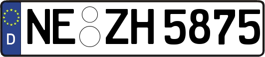 NE-ZH5875
