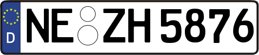 NE-ZH5876
