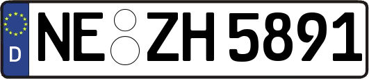 NE-ZH5891