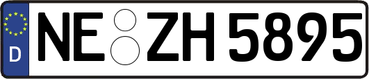 NE-ZH5895