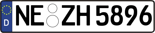NE-ZH5896