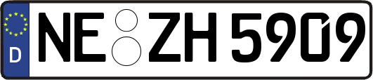 NE-ZH5909