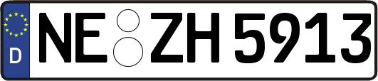 NE-ZH5913