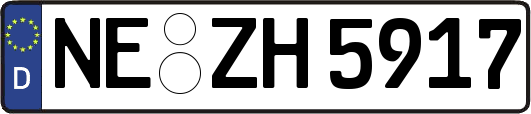 NE-ZH5917