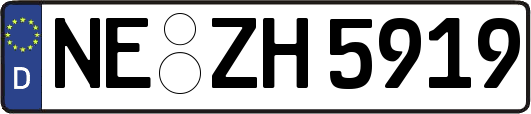 NE-ZH5919