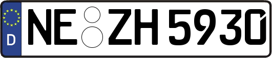 NE-ZH5930