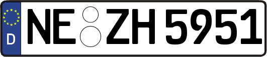 NE-ZH5951