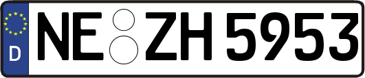 NE-ZH5953