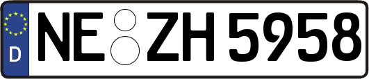 NE-ZH5958