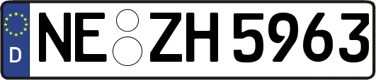 NE-ZH5963