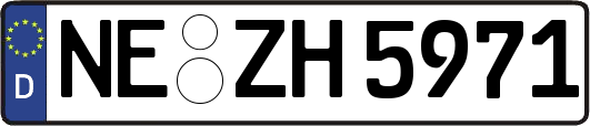 NE-ZH5971