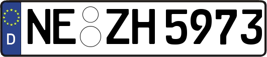 NE-ZH5973