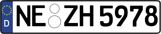 NE-ZH5978