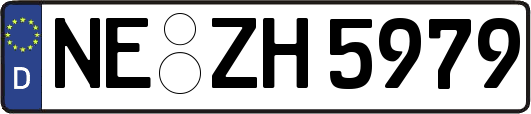 NE-ZH5979