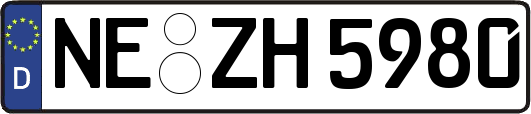 NE-ZH5980