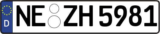 NE-ZH5981