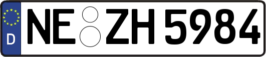 NE-ZH5984