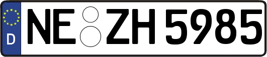 NE-ZH5985