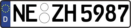 NE-ZH5987