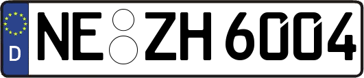 NE-ZH6004