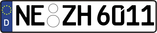 NE-ZH6011