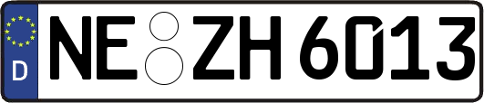 NE-ZH6013