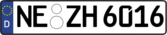 NE-ZH6016