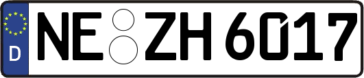 NE-ZH6017