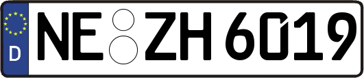 NE-ZH6019