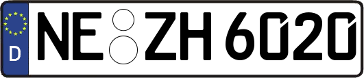 NE-ZH6020