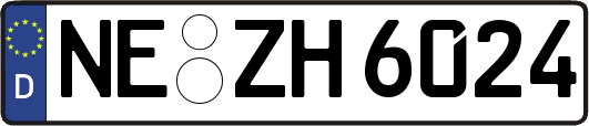 NE-ZH6024