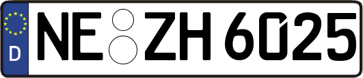 NE-ZH6025